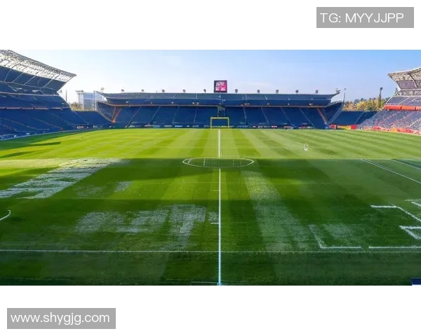 卡福宝传奇生涯全景解读从绿茵激情到足球精神永恒魅力